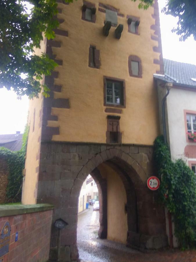 Living-In-History: Heidi Braun Cottage Dudeldorf Екстериор снимка